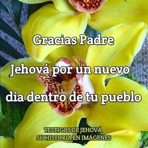 Meet your Posher, Damaris